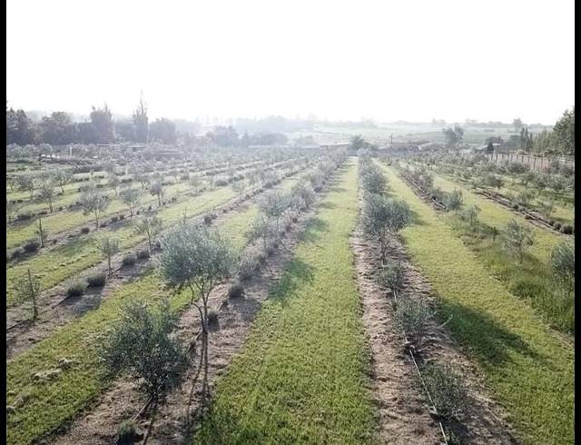 2.10HA FARM FOR SALE IN VANWAARTSHOF